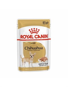 Chihuahua Adult полнорационный влажный корм для взрослых собак породы чихуахуа от 8 месяцев паштет в Royal canin