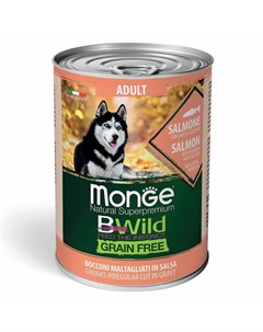Dog BWild Grain Free полнорационный влажный корм для собак беззерновой с лососем тыквой и кабачками  Monge