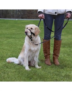 Намордник для собак тренировочный XL 46 см длина поводка 54 66 см Trixie