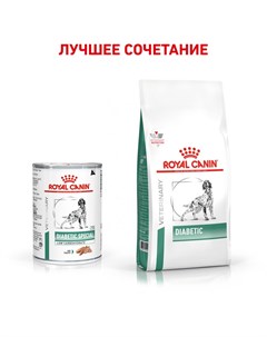 Влажный корм Diabetic Special диета для собак 0 41 кг Royal canin