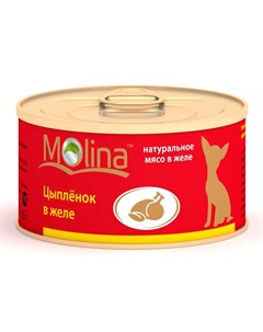 Влажный корм для взрослых собак с цыпленком в желе в консервах 85 г Molina