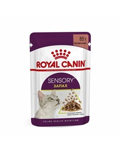Sensory Запах полнорационный влажный корм для взрослых кошек стимулирующий обонятельные рецепторы ку Royal canin