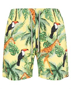Плавки шорты Tropical Garden Mc2 saint barth