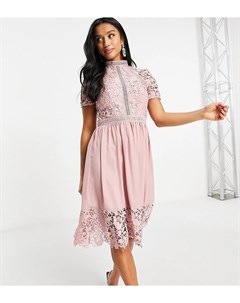 Розовое приталенное платье с кружевом Chi chi london petite