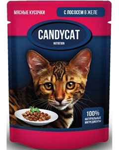 Паучи Candycat кусочки с Лососем в желе для кошек 85 г Лосось Gina