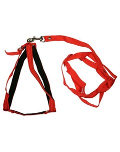 Комплект поводок шлейка капроновый красный для собак 65 см Красный Zooexpress