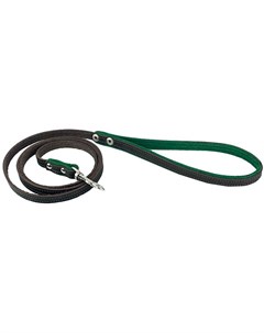 Поводок Suomi Line однослойный коричневый зеленый для собак 10 мм х 1 2 м Коричневый зеленый Zooexpress
