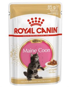 Паучи Kitten Maine Coon соус для котят породы мейн кун 85 г Royal canin