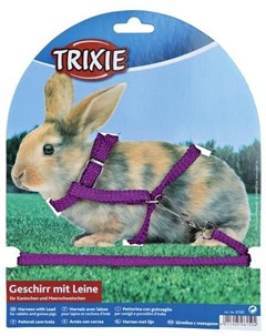 Шлейка для грызунов 8 мм х 1 2 м для кроликов Trixie