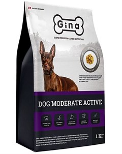 Сухой корм Dog Moderate Active для активных собак 18 кг Курица и рис Gina