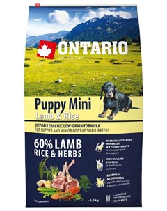 Сухой корм Puppy Mini с ягненком и рисом для щенков малых пород 6 5 кг Ягненок и рис Ontario