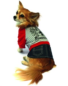 Костюм Aristocrat футболка с юбкой серый с красным для собак 20 см Серый с красным Каскад