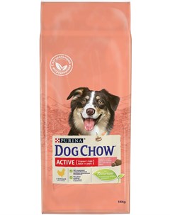 Сухой корм Active для активных собак 14 кг Курица Dog chow