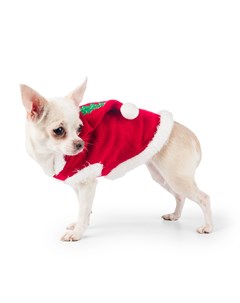 Свитер с капюшоном для собак XL красный унисекс Petmax