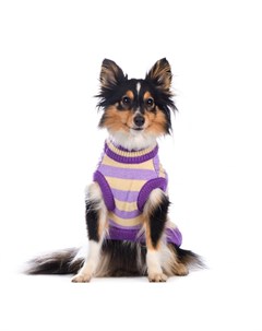 Свитер для собак M фиолетовый унисекс Petmax