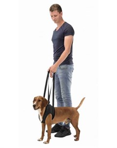 Поддерживающая шлейка для собак M 55 65 см 10 25 кг Trixie