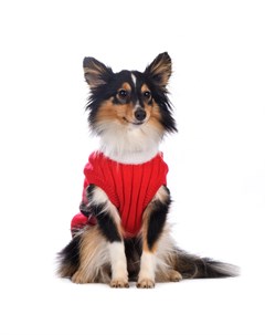 Свитер для собак Санта XL красный унисекс Petmax