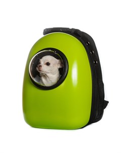 Рюкзак переноска для кошек и собак мелкого размера 30x28x44 см зеленый Rurri