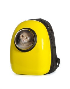 Рюкзак переноска для кошек и собак мелкого размера 30x28x44 см желтый Rurri