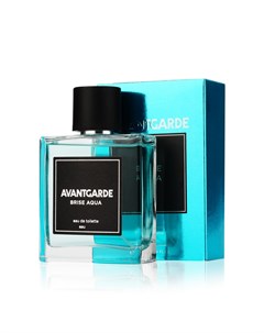 Мужская туалетная вода Avantgarde Brise Aqua 100мл Art parfum
