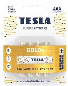 Батарейки GOLD AAA 4ks GOLD Alkaline AAA LR03 минипальчиковая блистер блистер 4 Tesla