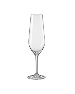 Набор бокалов для шампанского 200 мл Crystal Amoroso 2 шт Bohemia