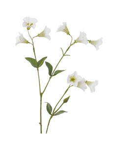 Искусственные цветы Колокольчик 77см кремовый Silk-ka