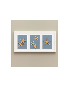 Панно с морскими звездами белый 52x25 см Wowbotanica