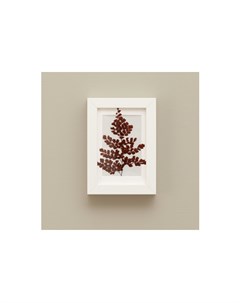 Картина с бордовым папоротником белый 12x17 см Wowbotanica