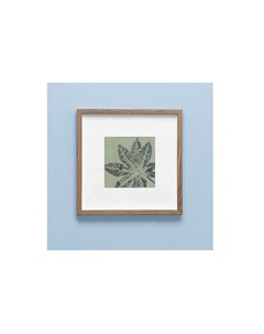 Картина с оттиском листа аралии коричневый 25x25 см Wowbotanica