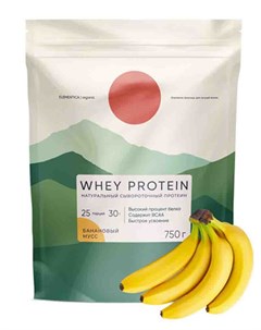 Протеины Whey Protein 870 гр ванильный пломбир Elementica