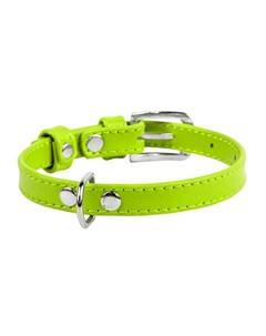 Ошейник для собак Waudog Glamour без украшений ширина 12мм длина 21 29см зелёный Collar
