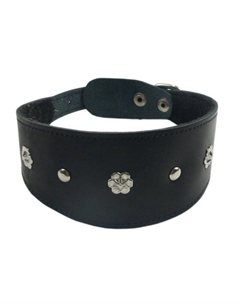 Ошейник для собак Камбала 1сл 55мм 40см черный Zooexpress