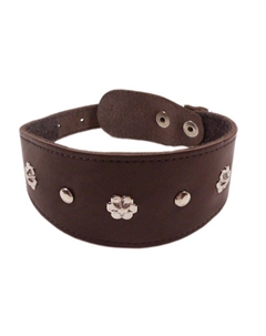 Ошейник для собак Камбала 1сл 55мм 30см коричневый Zooexpress