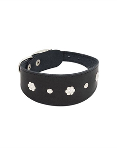 Ошейник для собак Камбала 1сл 50мм 35см черный Zooexpress