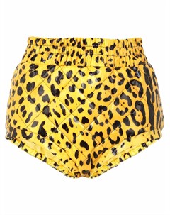 Короткие шорты с леопардовым принтом Dolce&gabbana