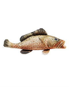 Подушка fish мультиколор 47x25x8 см Kare