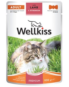 Adult влажный корм для взрослых кошек с ягненком в желе 100 г Wellkiss