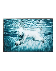 Картина в рамке swimming polar bear мультиколор 120x80x3 см Kare