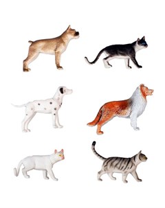 Игровой набор В мире животных Кошки и собаки 1toy
