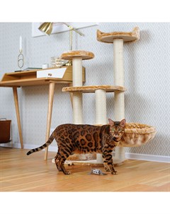 Спально игровой комплекс для кошек с домиком и когтеточкой Gloria многоуровневый с лежаками и площад Petmax