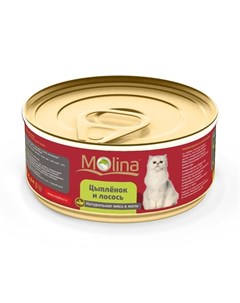 Влажный корм для кошек с цыпленком и лососем кусочки в желе в консервах 80 г Molina