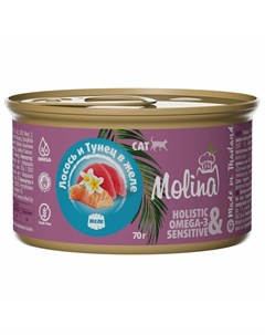 Влажный корм для кошек с лососем и тунцом кусочки в желе в консервах 70 г Molina