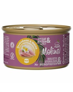 Влажный корм для котят и кошек с цыпленком кусочки в желе в консервах 70 г Molina