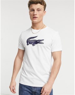 Белая футболка с большим логотипом крокодила темно синего цвета Lacoste