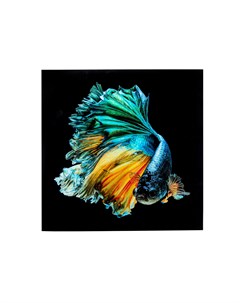 Картина fish мультиколор 100x100 см Kare