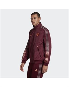 Гимновая куртка Манчестер Юнайтед Performance Adidas