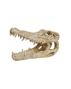 Crocodile Skull Искусственная декорация Череп крокодила Artuniq