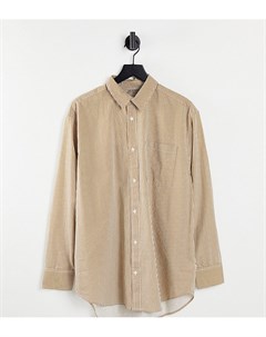 Oversized рубашка из органического хлопка в бежевую полоску в стиле унисекс Exclusive Selected