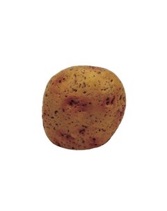 Potato Stone S Декоративная композиция из пластика Камень картошка Artuniq